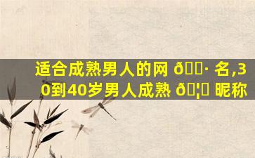 适合成熟男人的网 🌷 名,30到40岁男人成熟 🦅 昵称